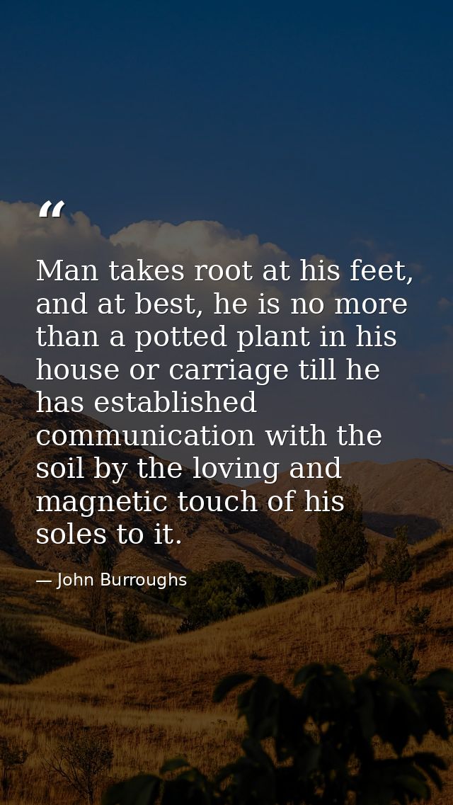 Man takes root at his feet, and at best, he is no more than a potted plant in his house or carriage till he has establis — John Burroughs