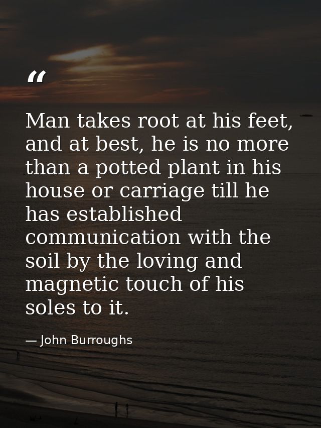 Man takes root at his feet, and at best, he is no more than a potted plant in his house or carriage till he has establis — John Burroughs