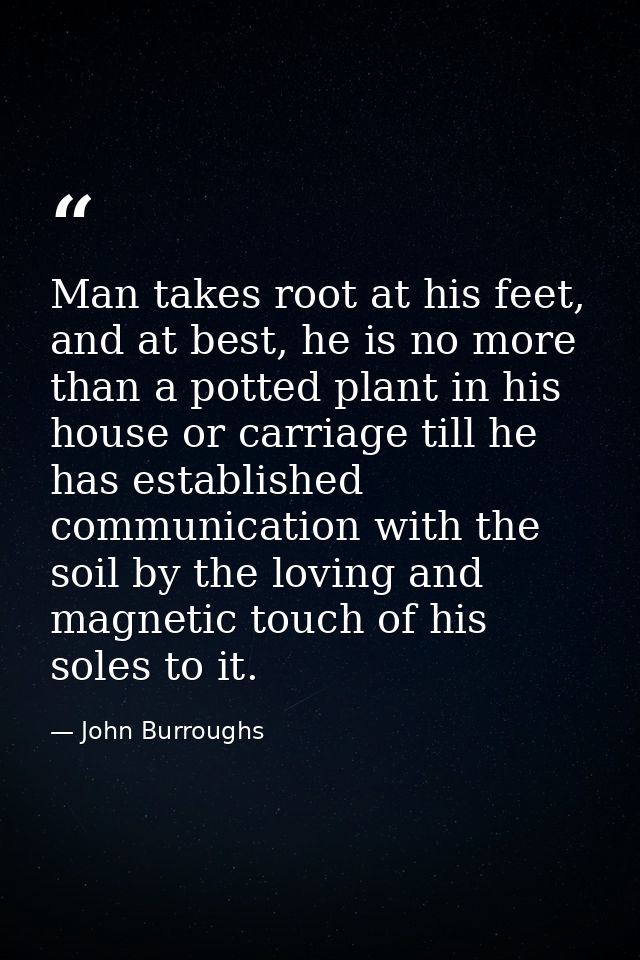 Man takes root at his feet, and at best, he is no more than a potted plant in his house or carriage till he has establis — John Burroughs
