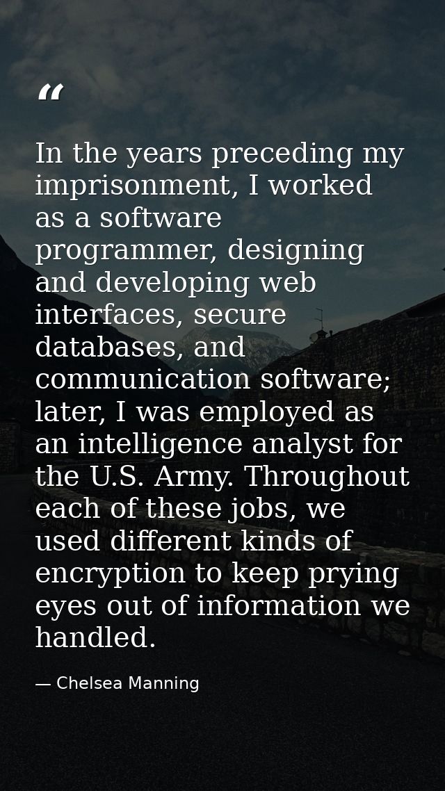In the years preceding my imprisonment, I worked as a software programmer, designing and developing web interfaces, secu — Chelsea Manning