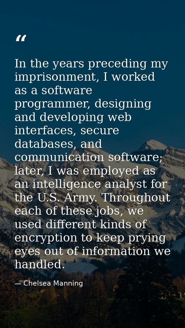 In the years preceding my imprisonment, I worked as a software programmer, designing and developing web interfaces, secu — Chelsea Manning