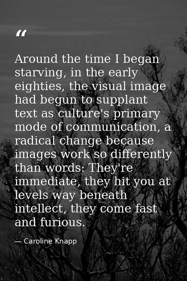 Around the time I began starving, in the early eighties, the visual image had begun to supplant text as culture's primar — Caroline Knapp