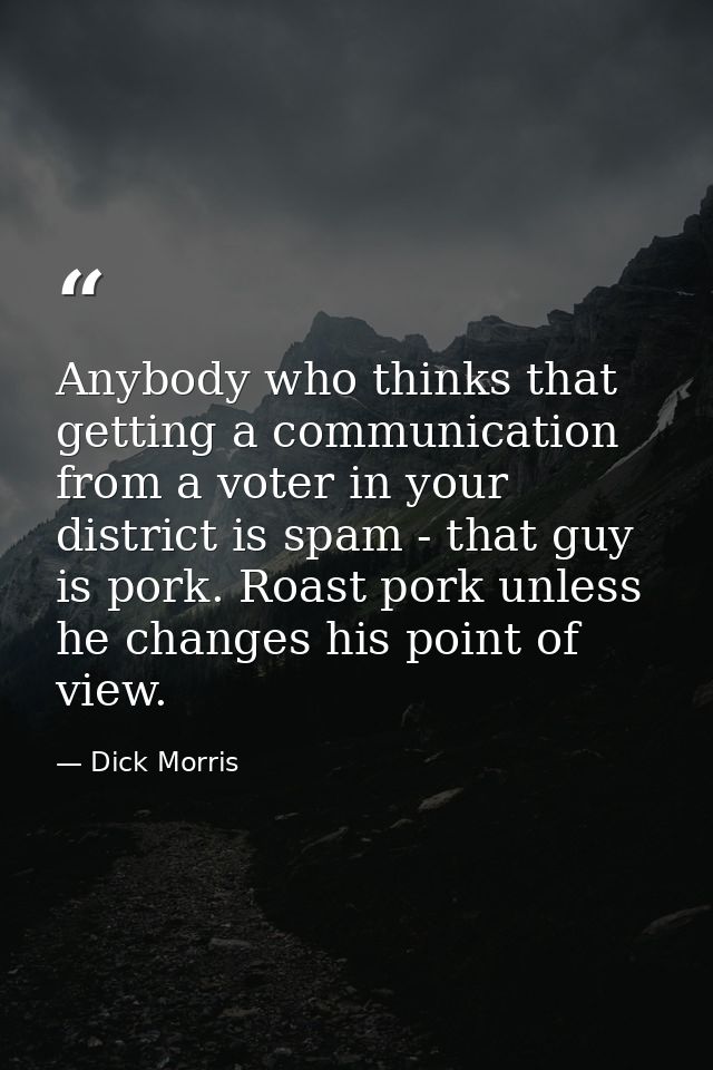 Anybody who thinks that getting a communication from a voter in your district is spam - that guy is pork. Roast pork unl — Dick Morris