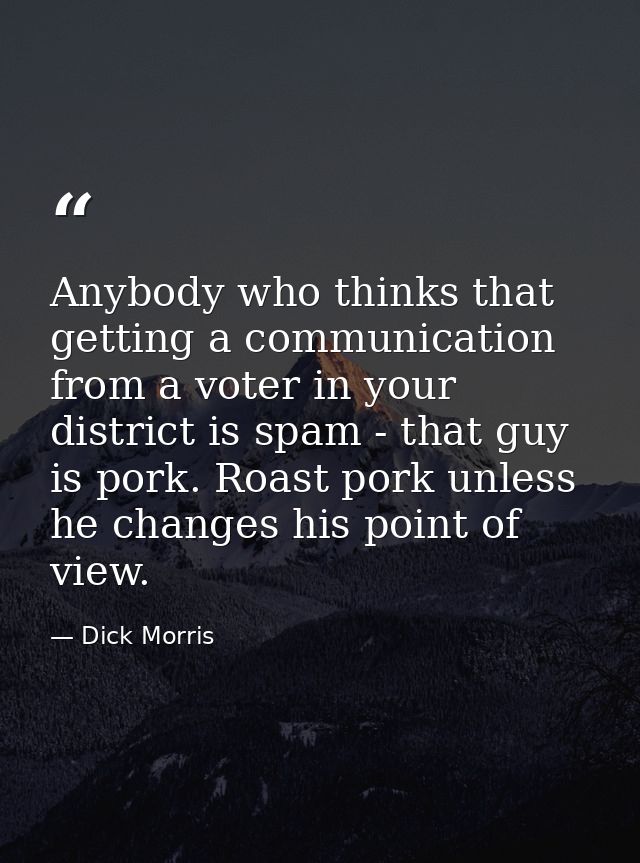 Anybody who thinks that getting a communication from a voter in your district is spam - that guy is pork. Roast pork unl — Dick Morris