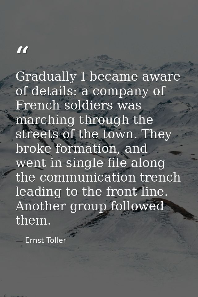 Gradually I became aware of details: a company of French soldiers was marching through the streets of the town. They bro — Ernst Toller