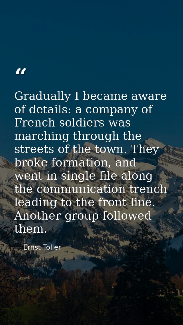 Gradually I became aware of details: a company of French soldiers was marching through the streets of the town. They bro — Ernst Toller