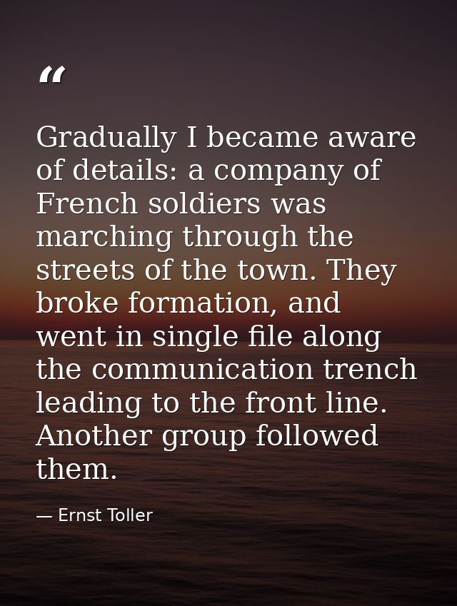 Gradually I became aware of details: a company of French soldiers was marching through the streets of the town. They bro — Ernst Toller