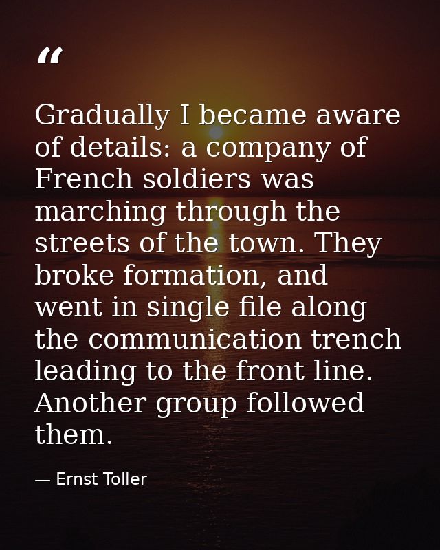 Gradually I became aware of details: a company of French soldiers was marching through the streets of the town. They bro — Ernst Toller