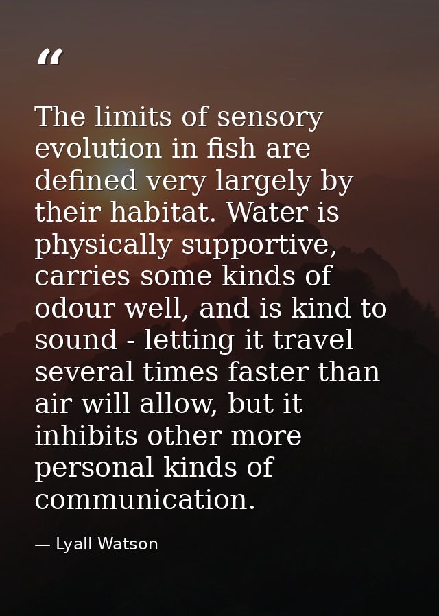 The limits of sensory evolution in fish are defined very largely by their habitat. Water is physically supportive, carri — Lyall Watson