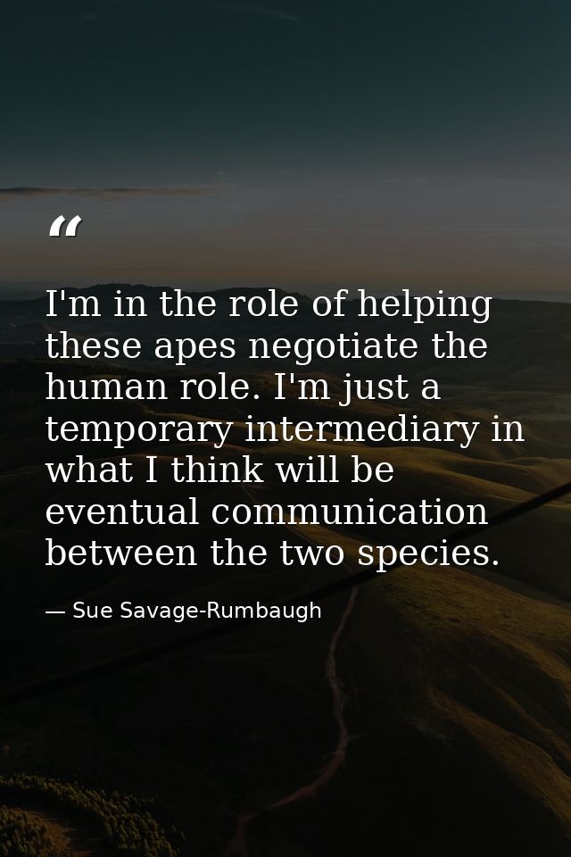 I'm in the role of helping these apes negotiate the human role. I'm just a temporary intermediary in what I think will b — Sue Savage-Rumbaugh