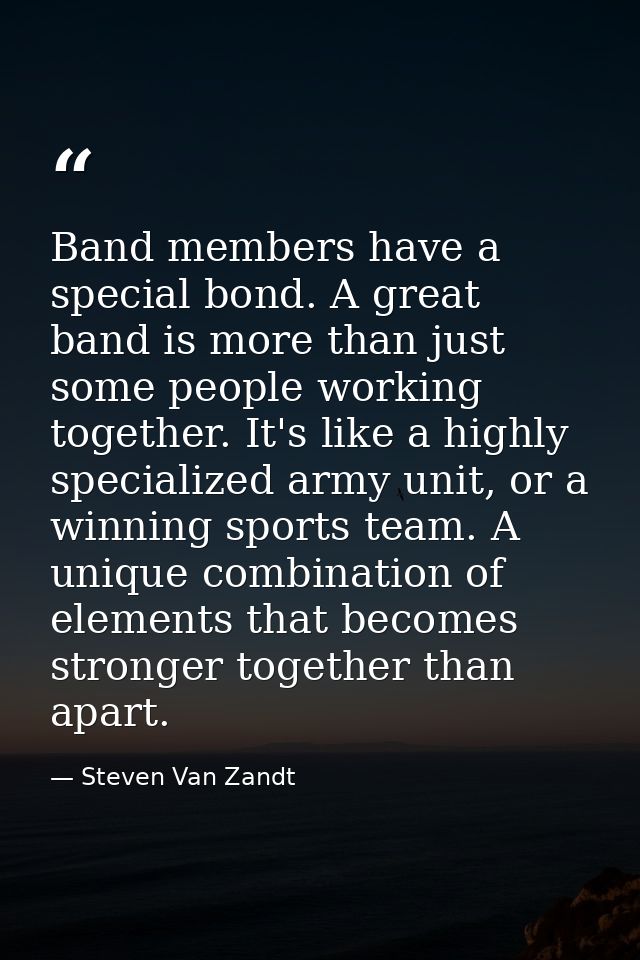 Band members have a special bond. A great band is more than just some people working together. It's like a highly specia — Steven Van Zandt
