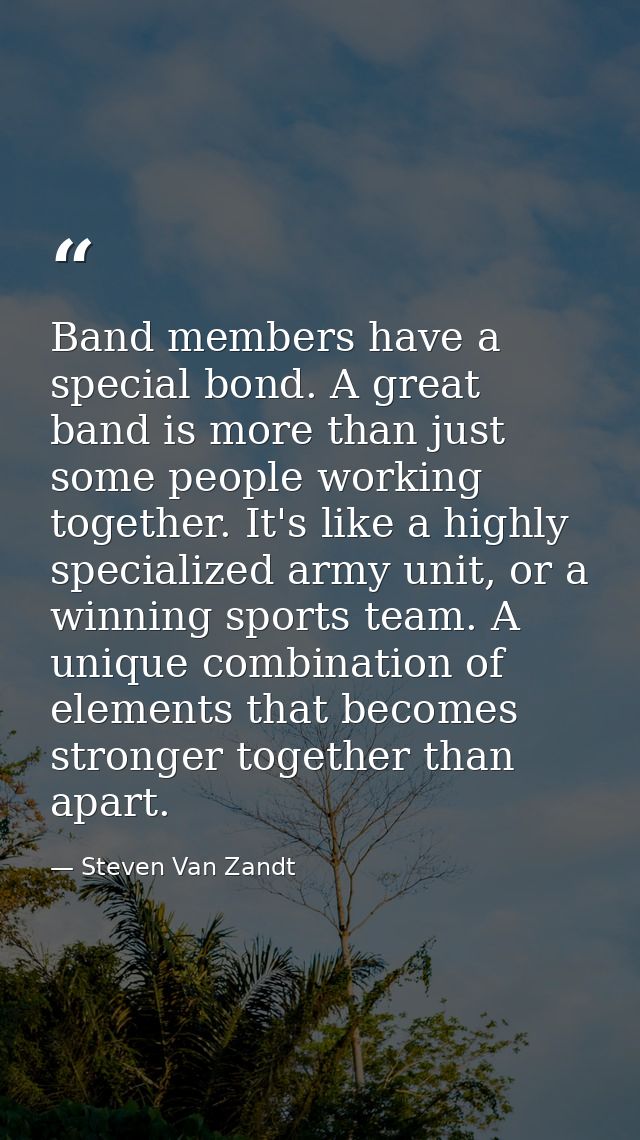 Band members have a special bond. A great band is more than just some people working together. It's like a highly specia — Steven Van Zandt