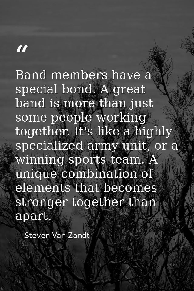 Band members have a special bond. A great band is more than just some people working together. It's like a highly specia — Steven Van Zandt