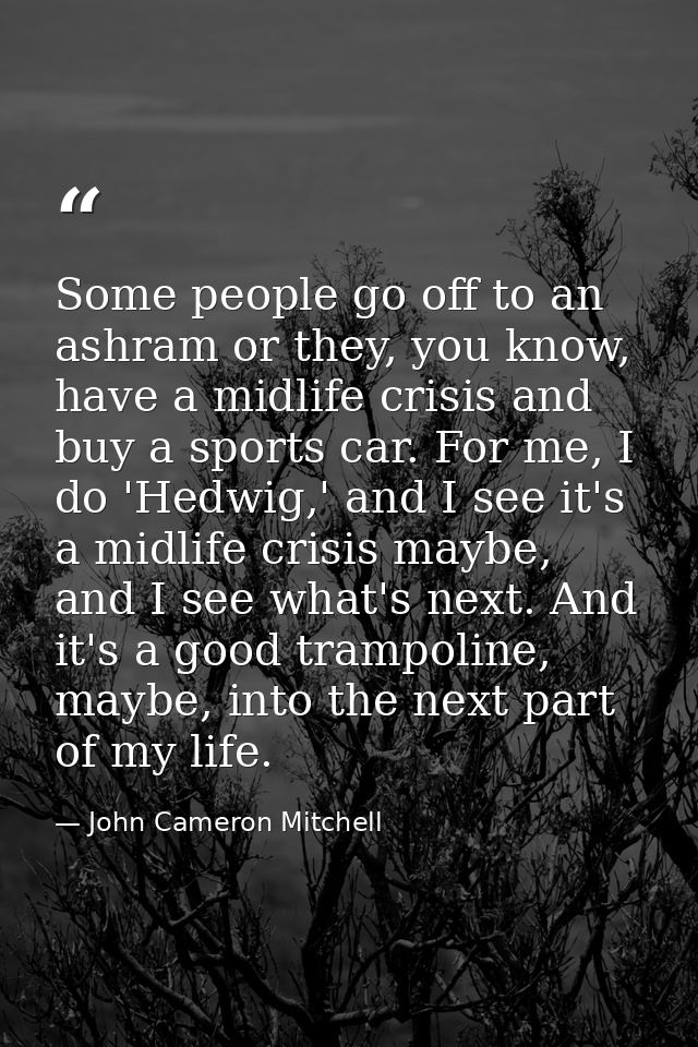 Some people go off to an ashram or they, you know, have a midlife crisis and buy a sports car. For me, I do 'Hedwig,' an — John Cameron Mitchell