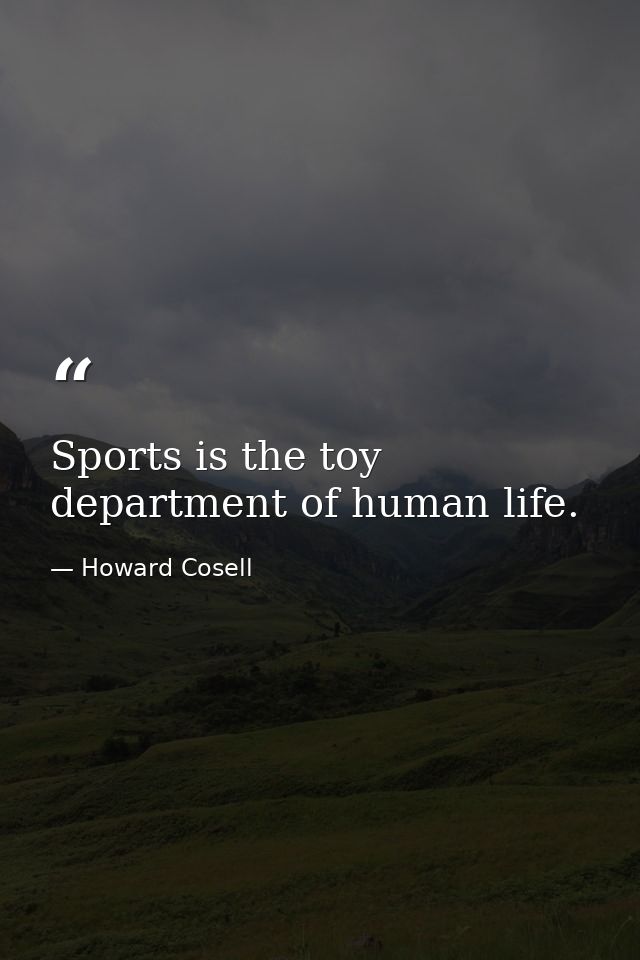 Sports is the toy department of human life. — Howard Cosell