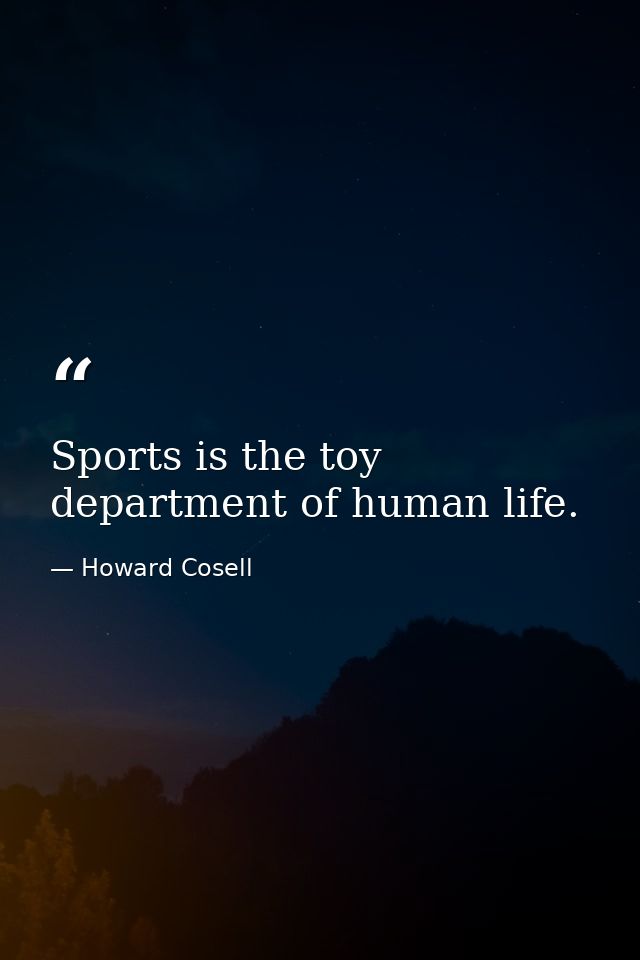 Sports is the toy department of human life. — Howard Cosell