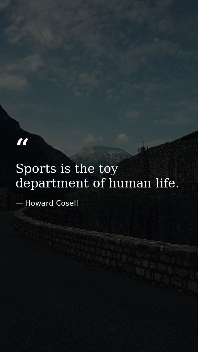 Sports is the toy department of human life. — Howard Cosell
