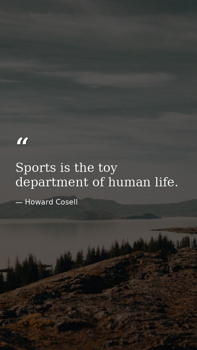 Sports is the toy department of human life. — Howard Cosell