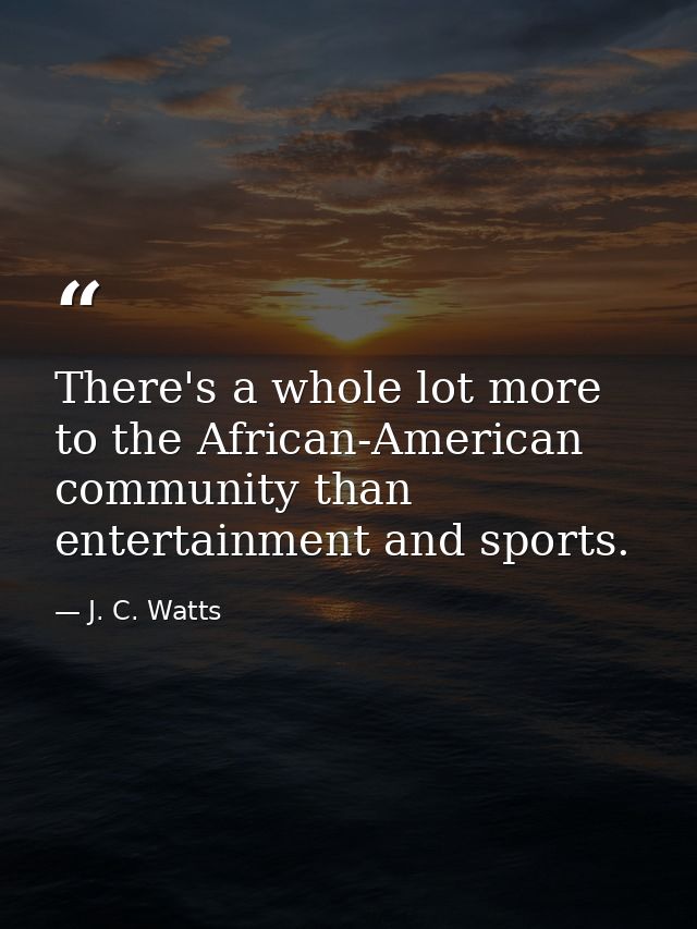 There's a whole lot more to the African-American community than entertainment and sports. — J. C. Watts