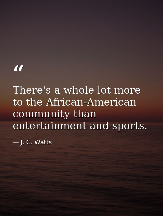 There's a whole lot more to the African-American community than entertainment and sports. — J. C. Watts