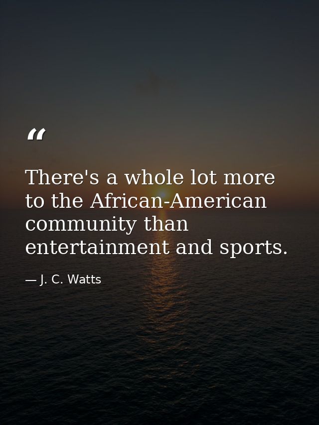 There's a whole lot more to the African-American community than entertainment and sports. — J. C. Watts