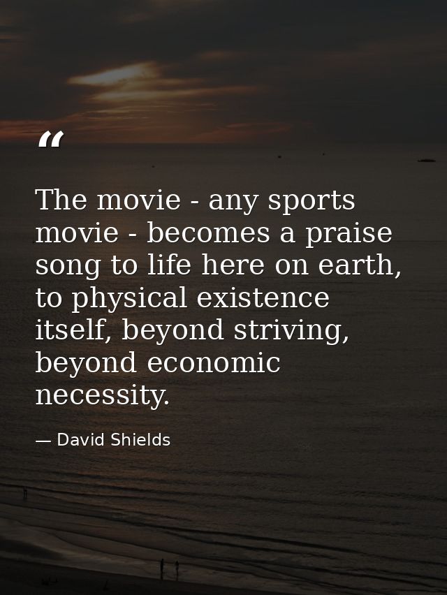 The movie - any sports movie - becomes a praise song to life here on earth, to physical existence itself, beyond strivin — David Shields