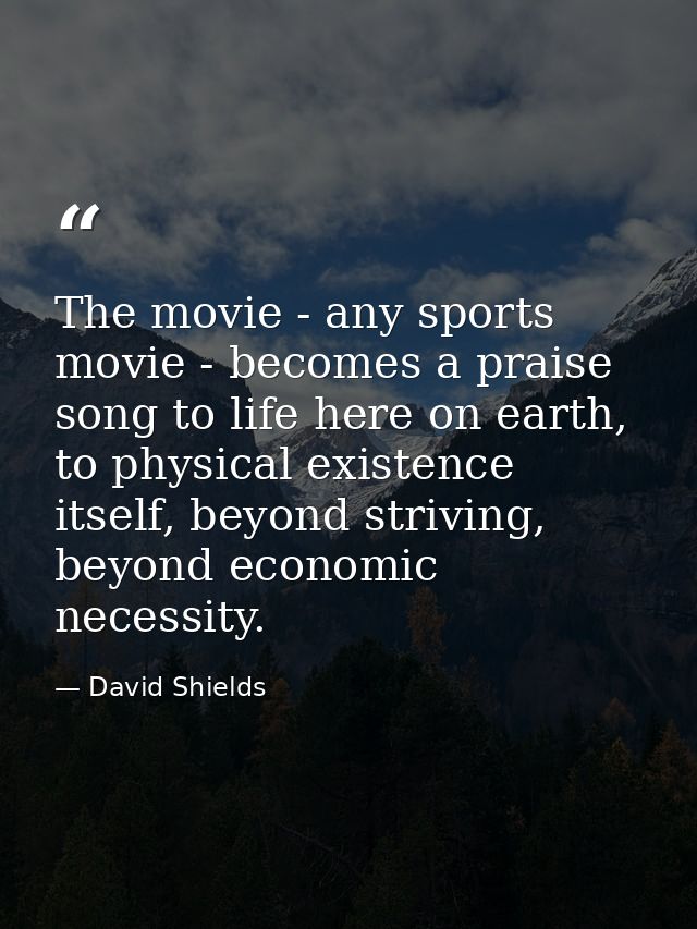 The movie - any sports movie - becomes a praise song to life here on earth, to physical existence itself, beyond strivin — David Shields