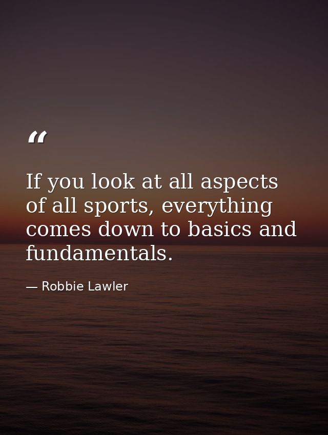 If you look at all aspects of all sports, everything comes down to basics and fundamentals. — Robbie Lawler
