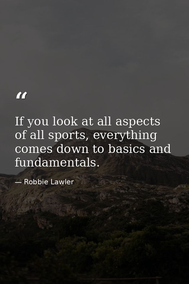 If you look at all aspects of all sports, everything comes down to basics and fundamentals. — Robbie Lawler