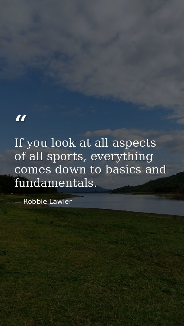 If you look at all aspects of all sports, everything comes down to basics and fundamentals. — Robbie Lawler
