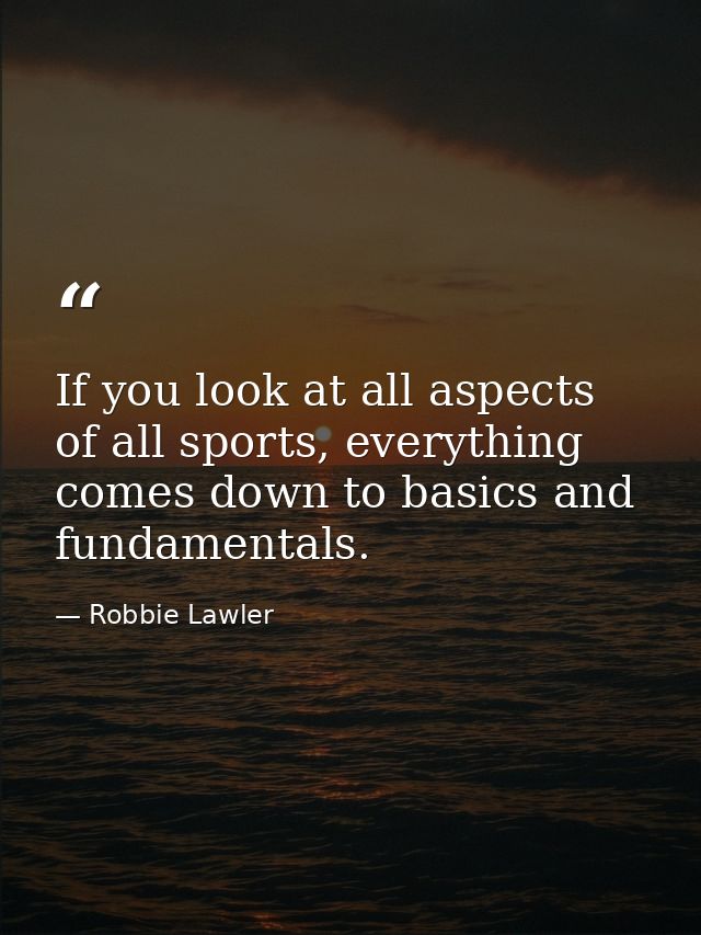 If you look at all aspects of all sports, everything comes down to basics and fundamentals. — Robbie Lawler