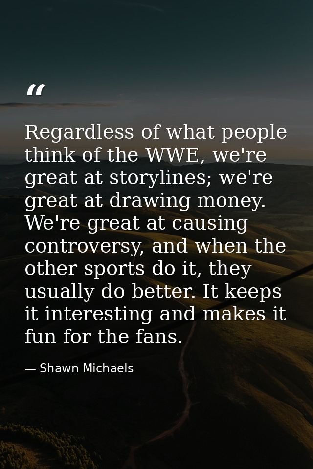 Regardless of what people think of the WWE, we're great at storylines; we're great at drawing money. We're great at caus — Shawn Michaels