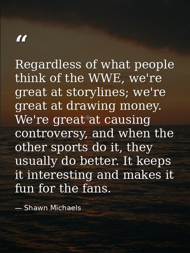 Regardless of what people think of the WWE, we're great at storylines; we're great at drawing money. We're great at caus — Shawn Michaels