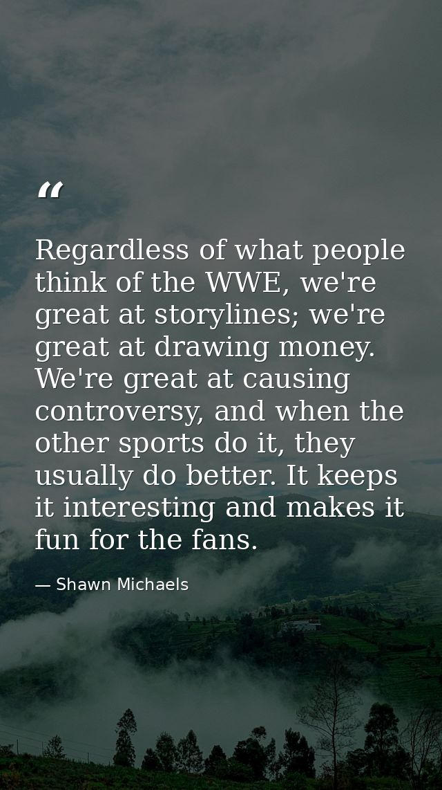 Regardless of what people think of the WWE, we're great at storylines; we're great at drawing money. We're great at caus — Shawn Michaels