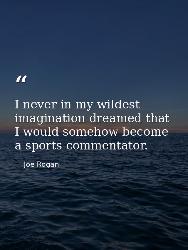 I never in my wildest imagination dreamed that I would somehow become a sports commentator. — Joe Rogan