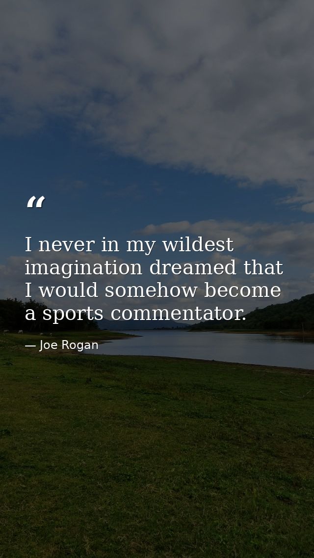 I never in my wildest imagination dreamed that I would somehow become a sports commentator. — Joe Rogan