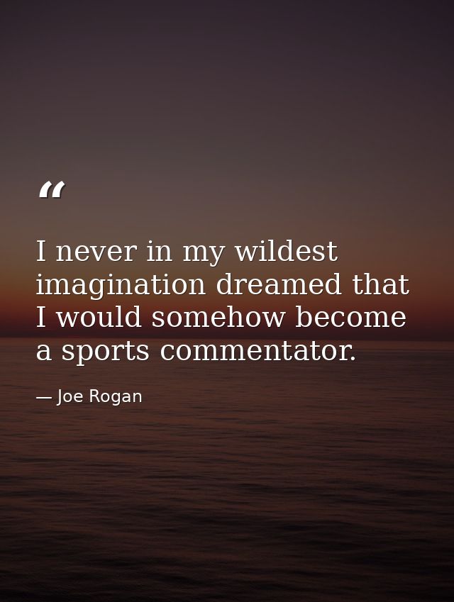 I never in my wildest imagination dreamed that I would somehow become a sports commentator. — Joe Rogan