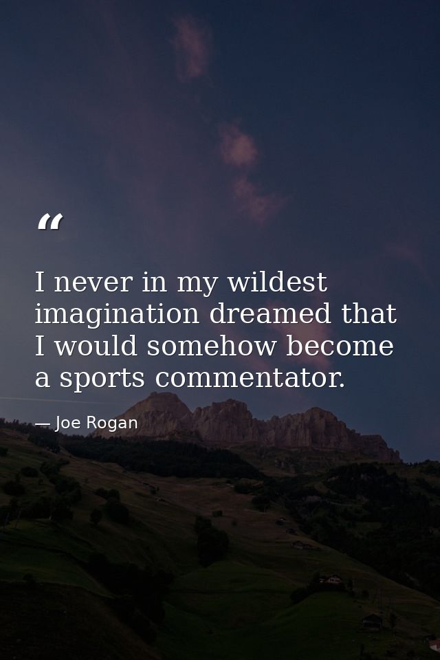 I never in my wildest imagination dreamed that I would somehow become a sports commentator. — Joe Rogan