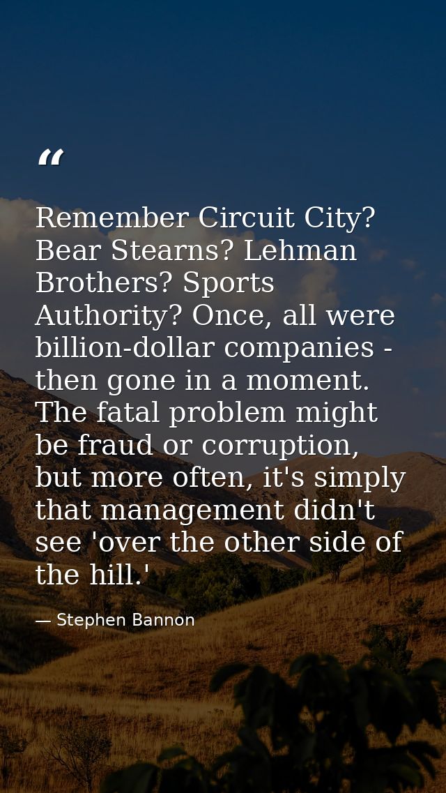 Remember Circuit City? Bear Stearns? Lehman Brothers? Sports Authority? Once, all were billion-dollar companies - then g — Stephen Bannon