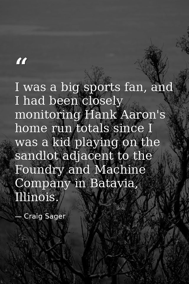 I was a big sports fan, and I had been closely monitoring Hank Aaron's home run totals since I was a kid playing on the  — Craig Sager