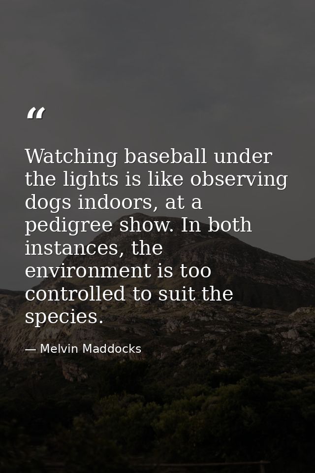 Watching baseball under the lights is like observing dogs indoors, at a pedigree show. In both instances, the environmen — Melvin Maddocks