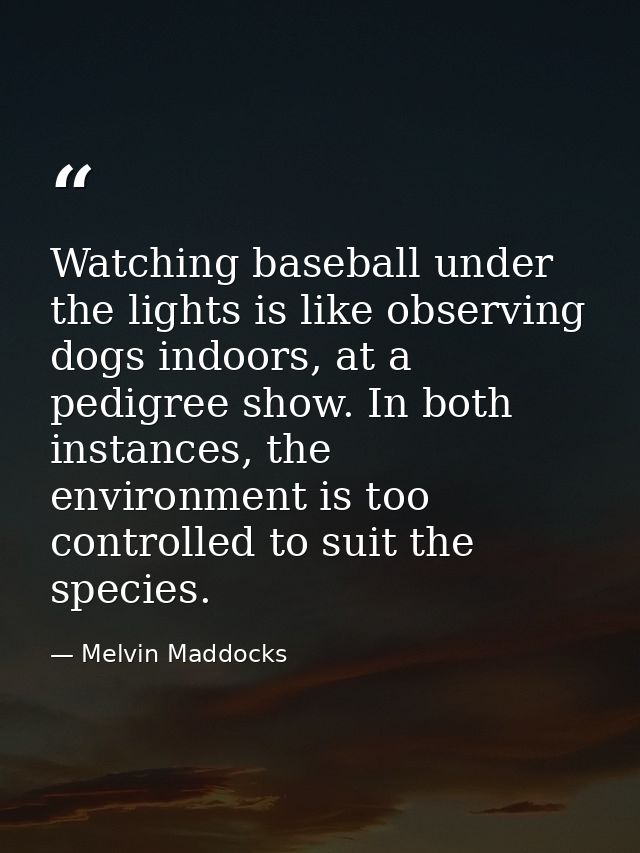 Watching baseball under the lights is like observing dogs indoors, at a pedigree show. In both instances, the environmen — Melvin Maddocks