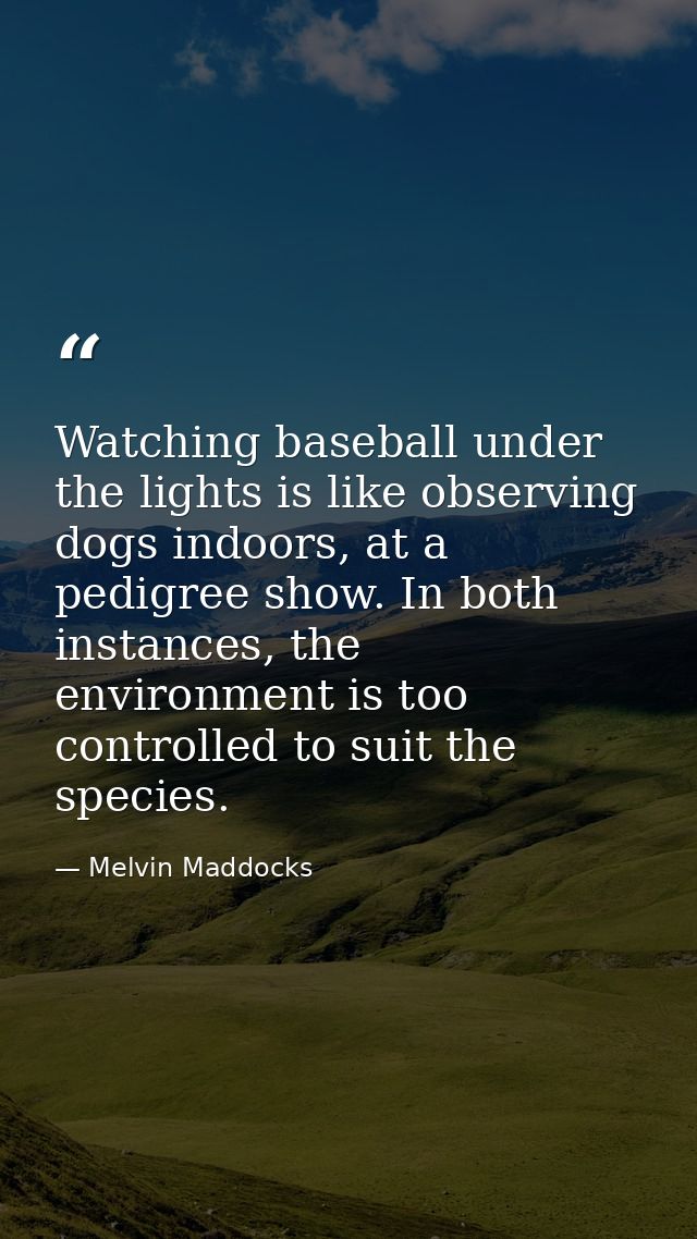 Watching baseball under the lights is like observing dogs indoors, at a pedigree show. In both instances, the environmen — Melvin Maddocks