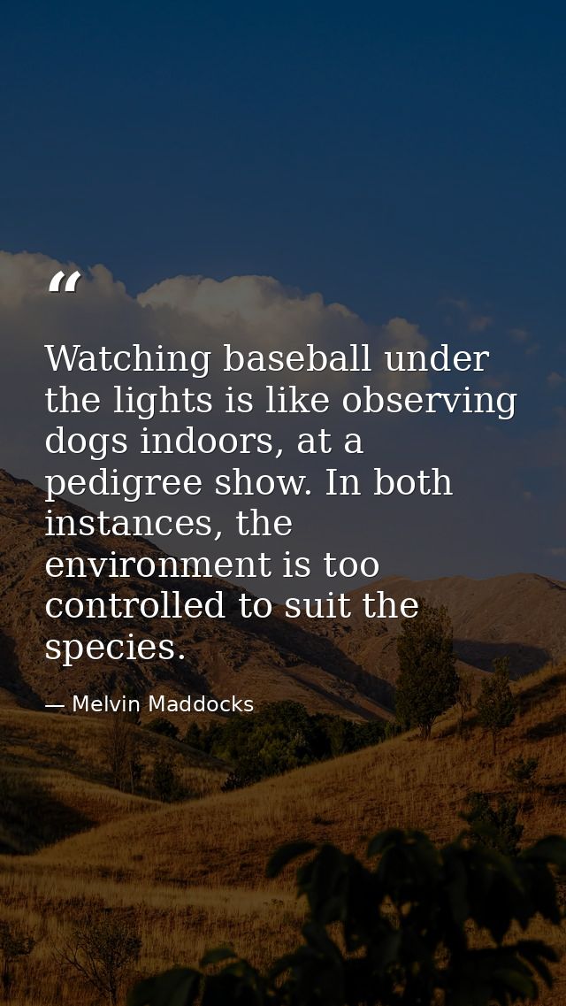 Watching baseball under the lights is like observing dogs indoors, at a pedigree show. In both instances, the environmen — Melvin Maddocks
