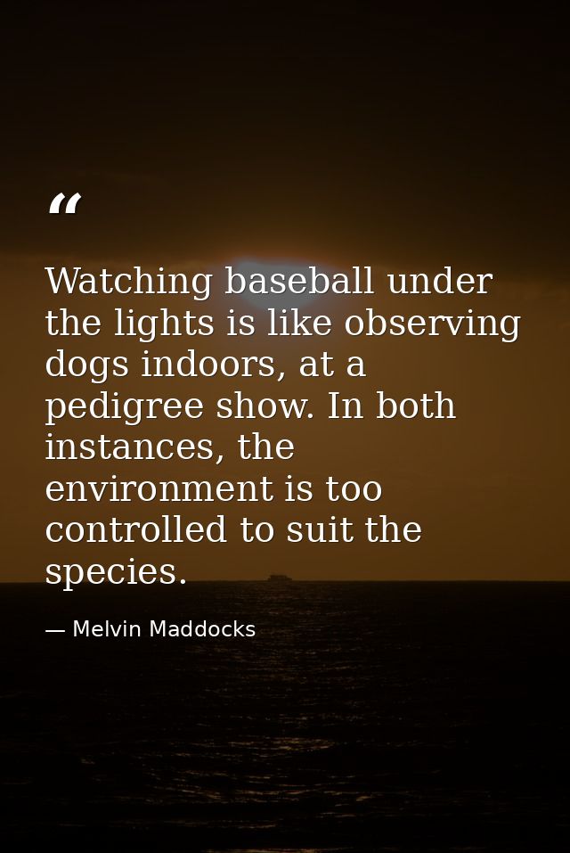 Watching baseball under the lights is like observing dogs indoors, at a pedigree show. In both instances, the environmen — Melvin Maddocks