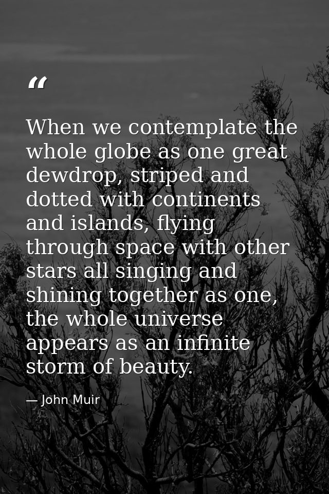 When we contemplate the whole globe as one great dewdrop, striped and dotted with continents and islands, flying through — John Muir