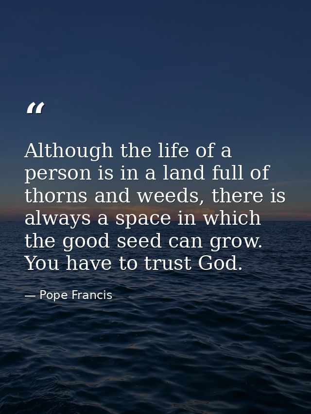 Although the life of a person is in a land full of thorns and weeds, there is always a space in which the good seed can  — Pope Francis