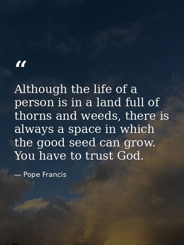 Although the life of a person is in a land full of thorns and weeds, there is always a space in which the good seed can  — Pope Francis