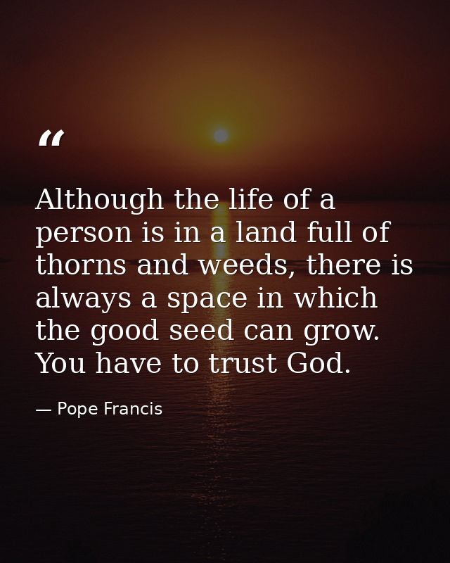Although the life of a person is in a land full of thorns and weeds, there is always a space in which the good seed can  — Pope Francis
