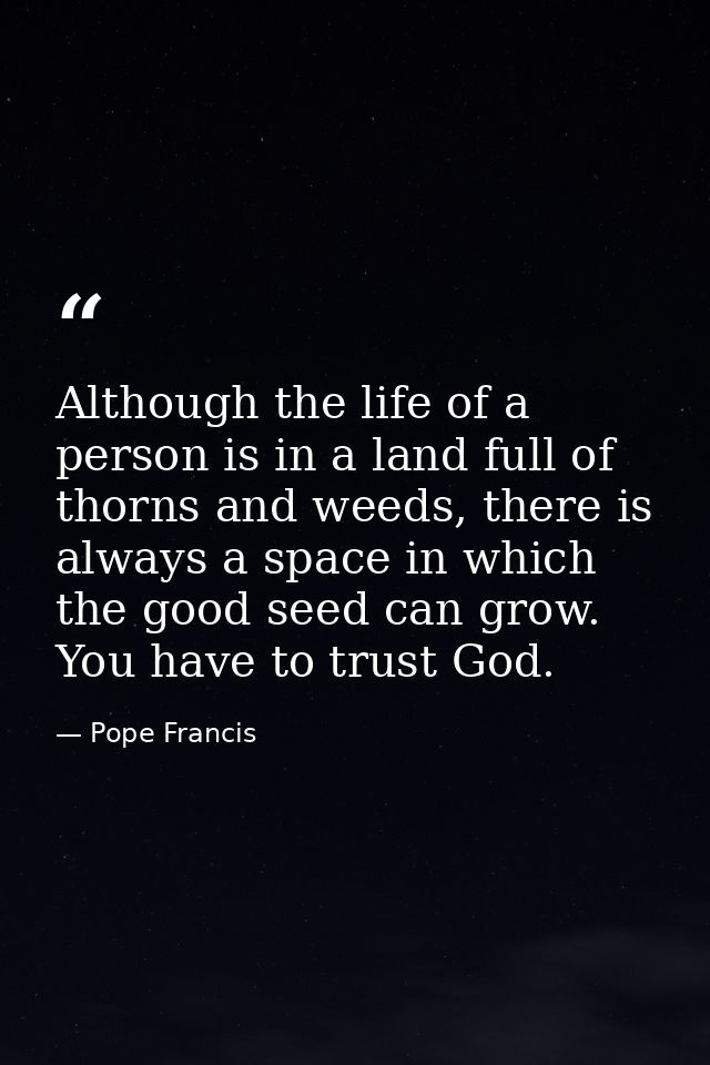 Although the life of a person is in a land full of thorns and weeds, there is always a space in which the good seed can  — Pope Francis
